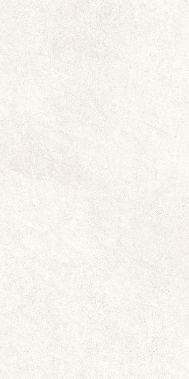 Dhara White Matte 12 x 24
